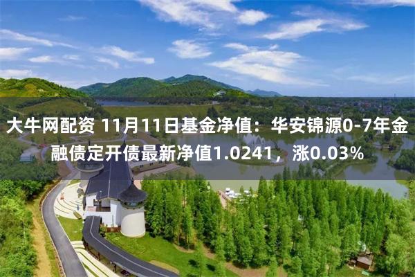 大牛网配资 11月11日基金净值：华安锦源0-7年金融债定开债最新净值1.0241，涨0.03%