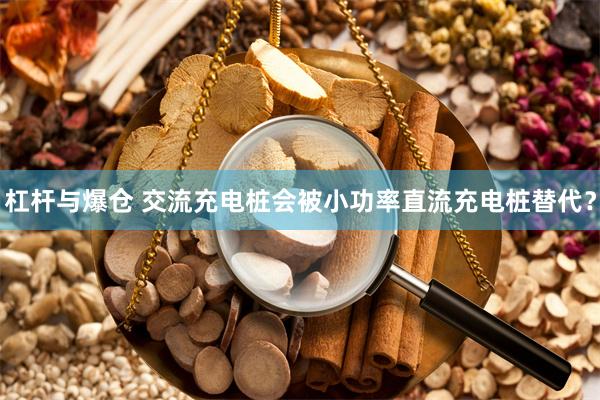杠杆与爆仓 交流充电桩会被小功率直流充电桩替代？