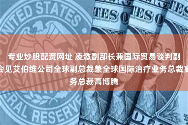 专业炒股配资网址 凌激副部长兼国际贸易谈判副代表会见艾伯维公司全球副总裁兼全球国际治疗业务总裁高博腾