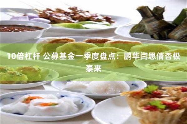 10倍杠杆 公募基金一季度盘点：鹏华闫思倩否极泰来