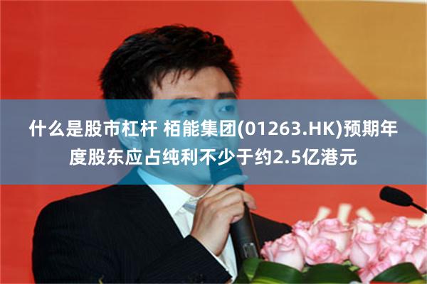 什么是股市杠杆 栢能集团(01263.HK)预期年度股东应占纯利不少于约2.5亿港元