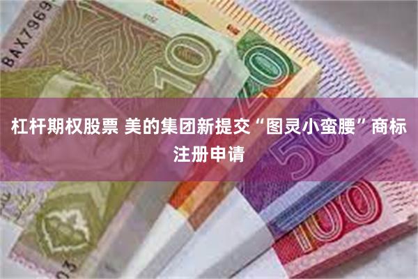杠杆期权股票 美的集团新提交“图灵小蛮腰”商标注册申请