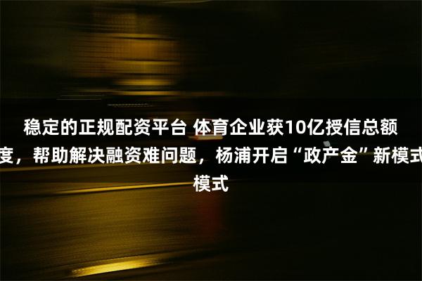 稳定的正规配资平台 体育企业获10亿授信总额度，帮助解决融资难问题，杨浦开启“政产金”新模式