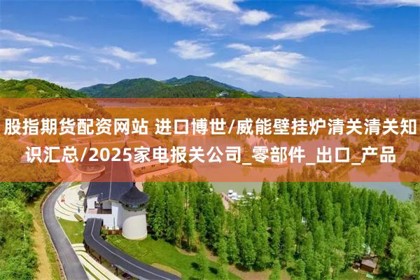 股指期货配资网站 进口博世/威能壁挂炉清关清关知识汇总/2025家电报关公司_零部件_出口_产品