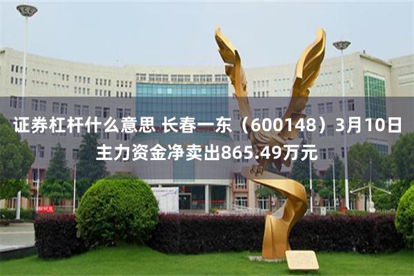 证券杠杆什么意思 长春一东（600148）3月10日主力资金净卖出865.49万元
