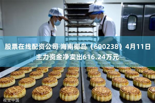 股票在线配资公司 海南椰岛（600238）4月11日主力资金净卖出616.24万元