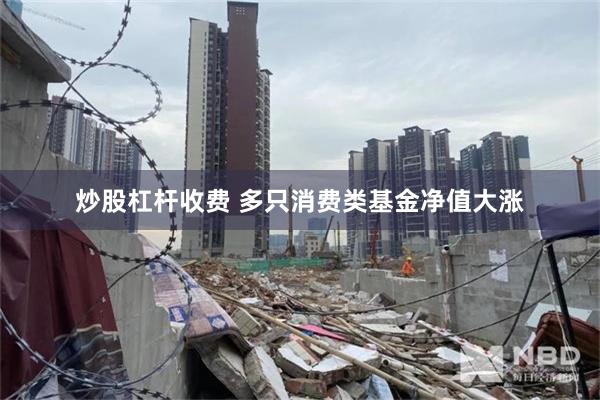 炒股杠杆收费 多只消费类基金净值大涨