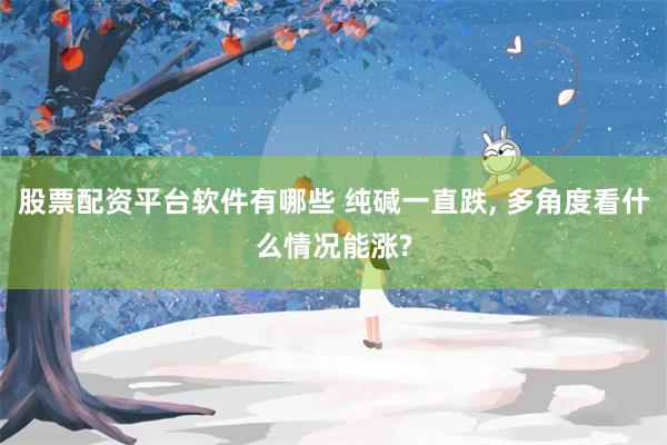 股票配资平台软件有哪些 纯碱一直跌, 多角度看什么情况能涨?