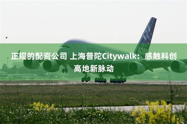 正规的配资公司 上海普陀Citywalk：感触科创高地新脉动