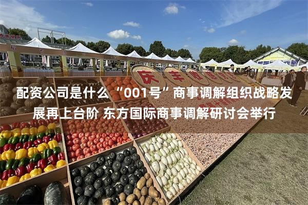 配资公司是什么 “001号”商事调解组织战略发展再上台阶 东方国际商事调解研讨会举行