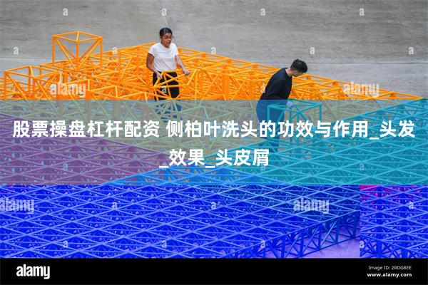 股票操盘杠杆配资 侧柏叶洗头的功效与作用_头发_效果_头皮屑