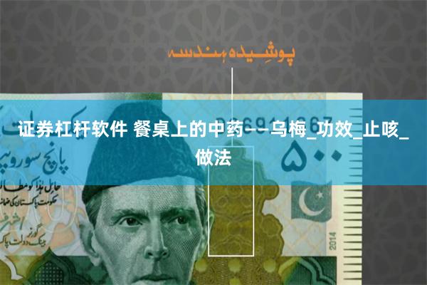 证券杠杆软件 餐桌上的中药——乌梅_功效_止咳_做法