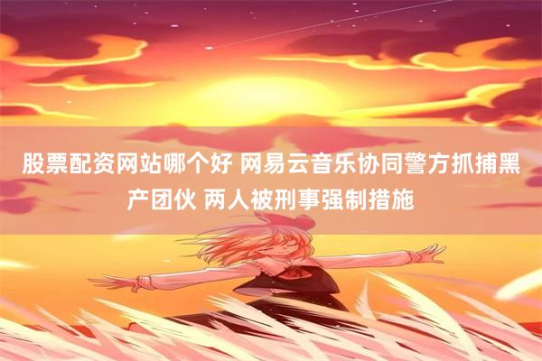 股票配资网站哪个好 网易云音乐协同警方抓捕黑产团伙 两人被刑事强制措施
