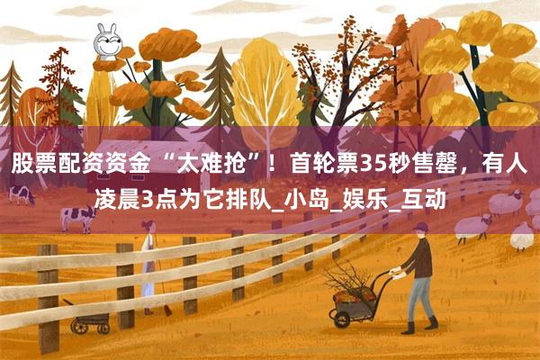 股票配资资金 “太难抢”！首轮票35秒售罄，有人凌晨3点为它排队_小岛_娱乐_互动